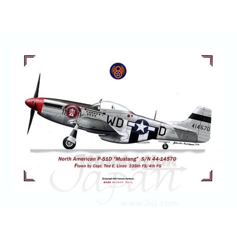 North American P-51D Mustang 44-14570 T-bird