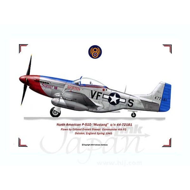 North American P-51D Mustang 44-72181 Sunny VIII