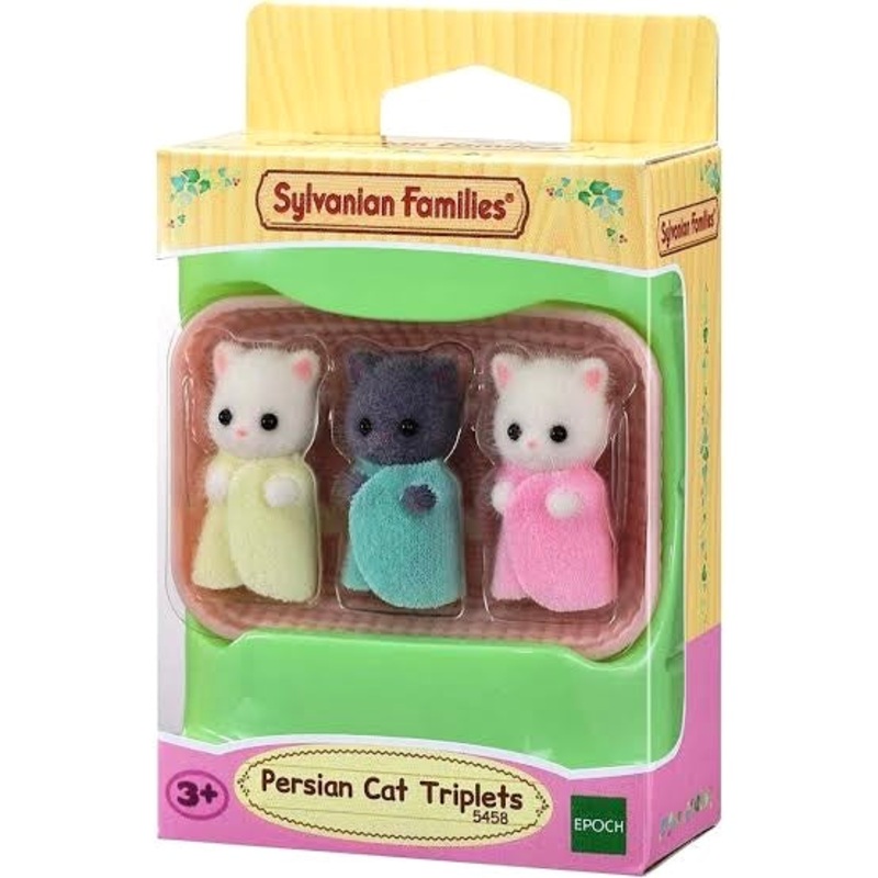 SYL/F PERSIAN CAT TRIPLETS
