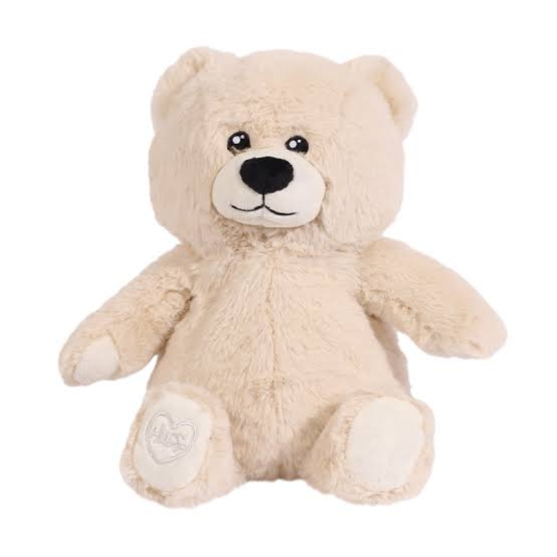 SPLOSH TOASTY HUGS BOBBY BEAR