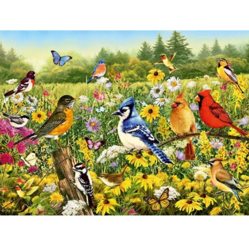 PUZZLE 500 PC BIRDS IN THE MEADOW