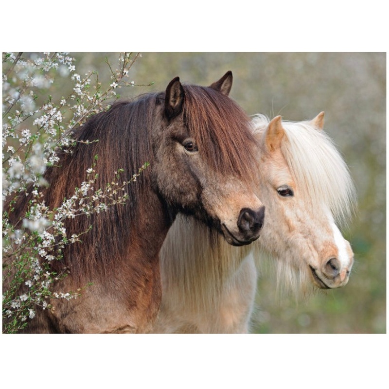 PUZZLE 150PC PERFECT PONIES