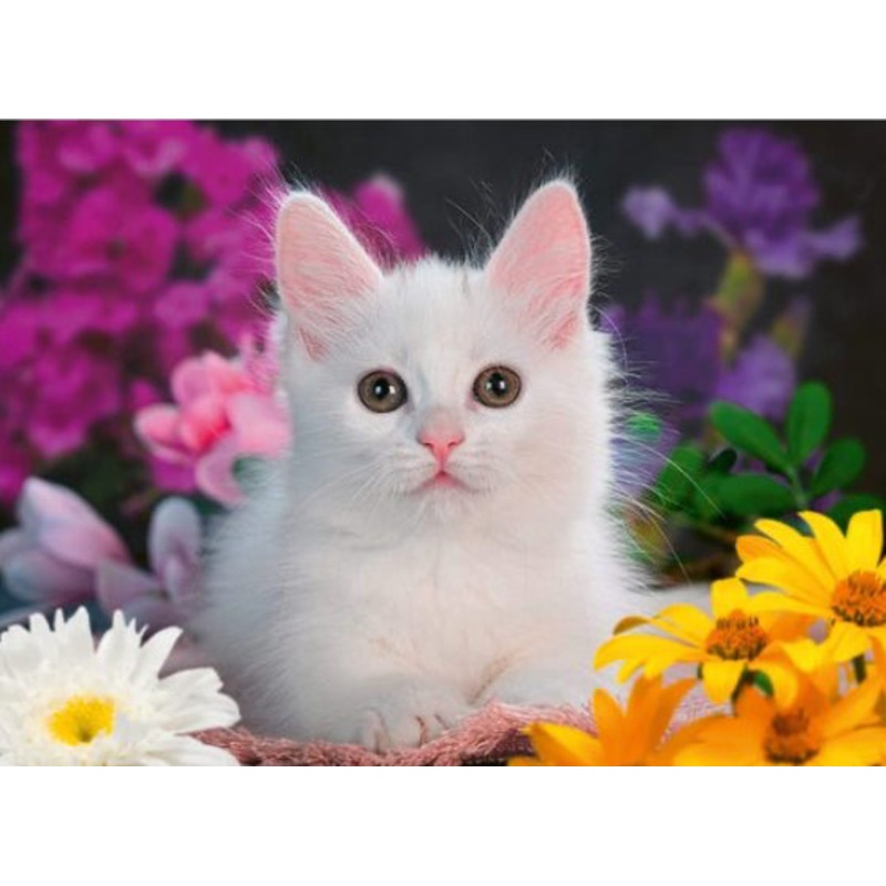 Puzzle 100Pc Glitter Cat