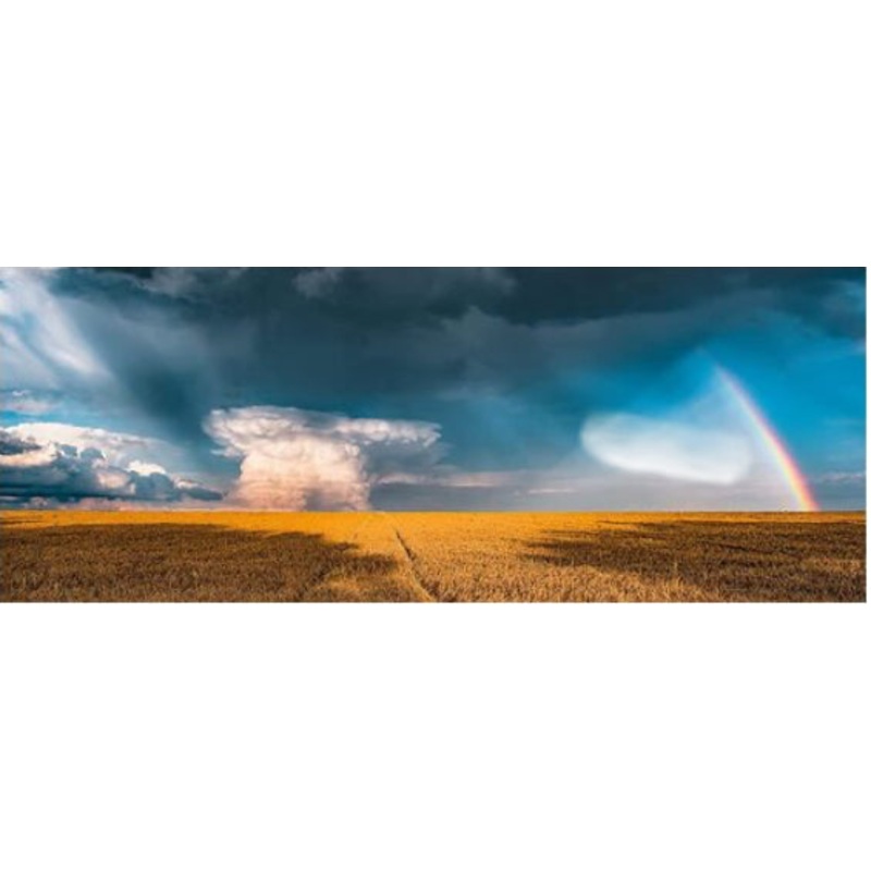 PUZZLE 1000PC MYSTERIOUS RAINBOW