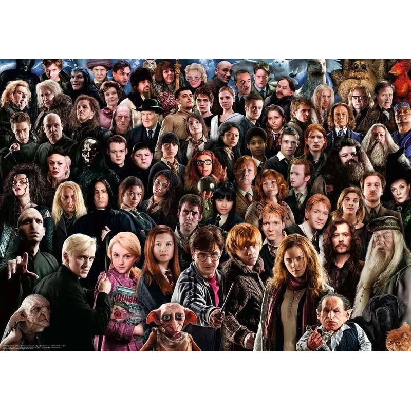 PUZZLE 1000PC HARRY POTTER CHALLENGE