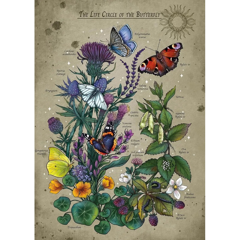 PUZZLE 1000PC LIFECIRCLE BUTTERFLY