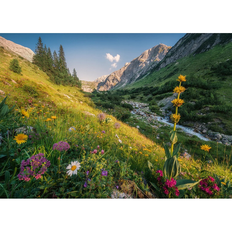 PUZZLE 1000PC MAGICAL VALLEY NEW