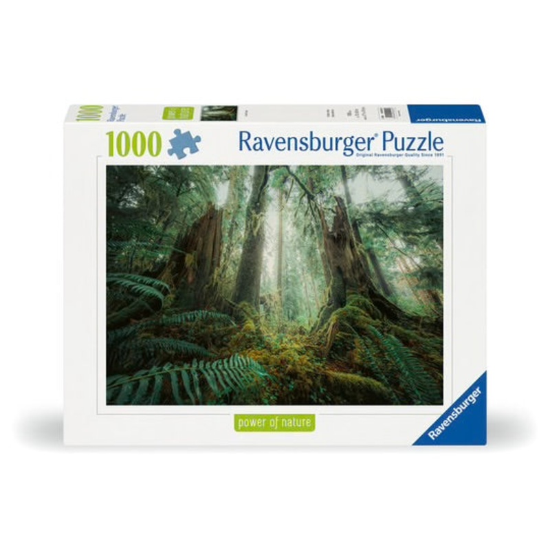 PUZZE 1000PC IN THE FOREST
