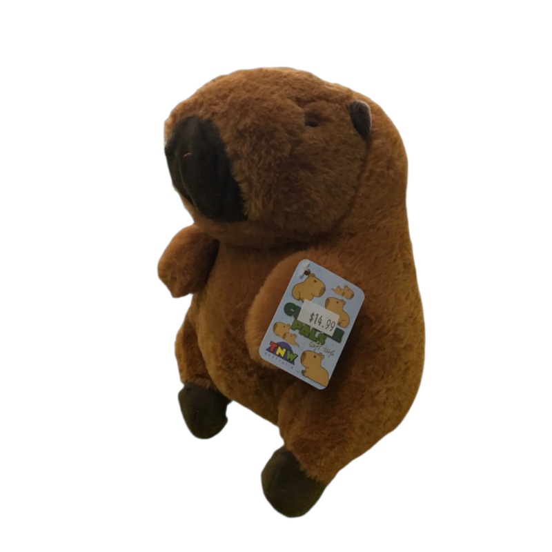 PLUSH CAPYBARA 23CM