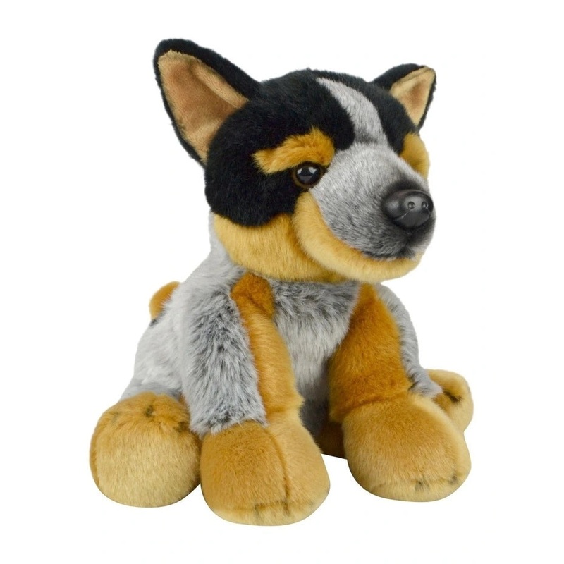 PLUSH LIL FRIEND BLUE HEELER 30CM