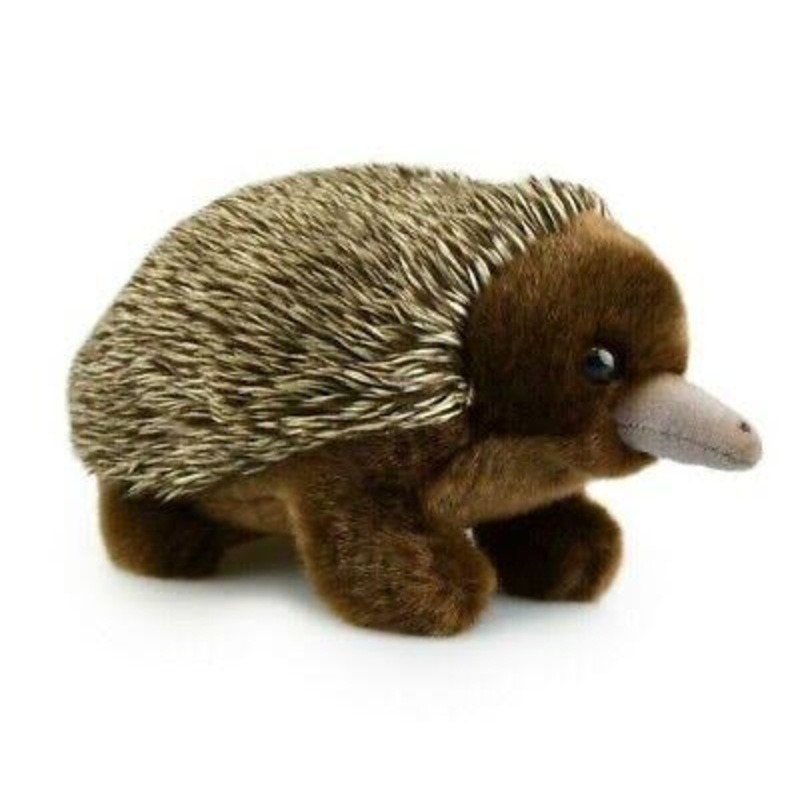 PLUSH LIL FRIEND ECHINDA