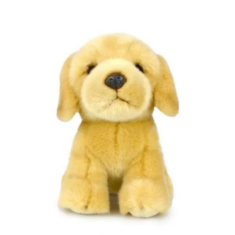 PLUSH LIL FRIEND LABRADOR 30CM
