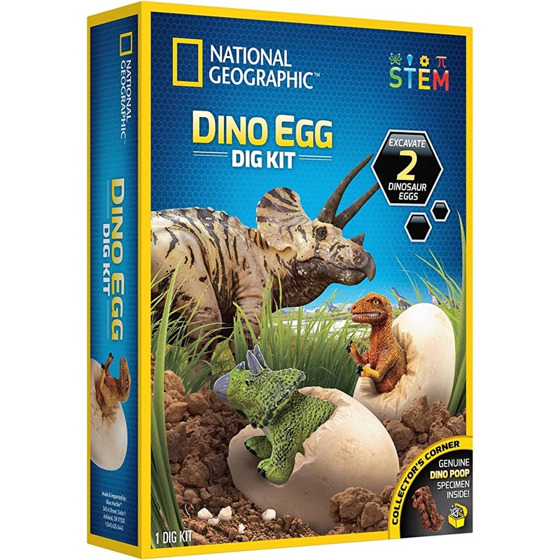 Ng Dino Egg Dig Kit