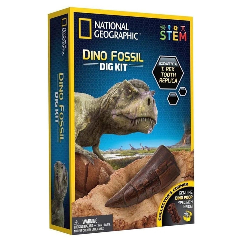 NG DINOSAUR DIG KIT