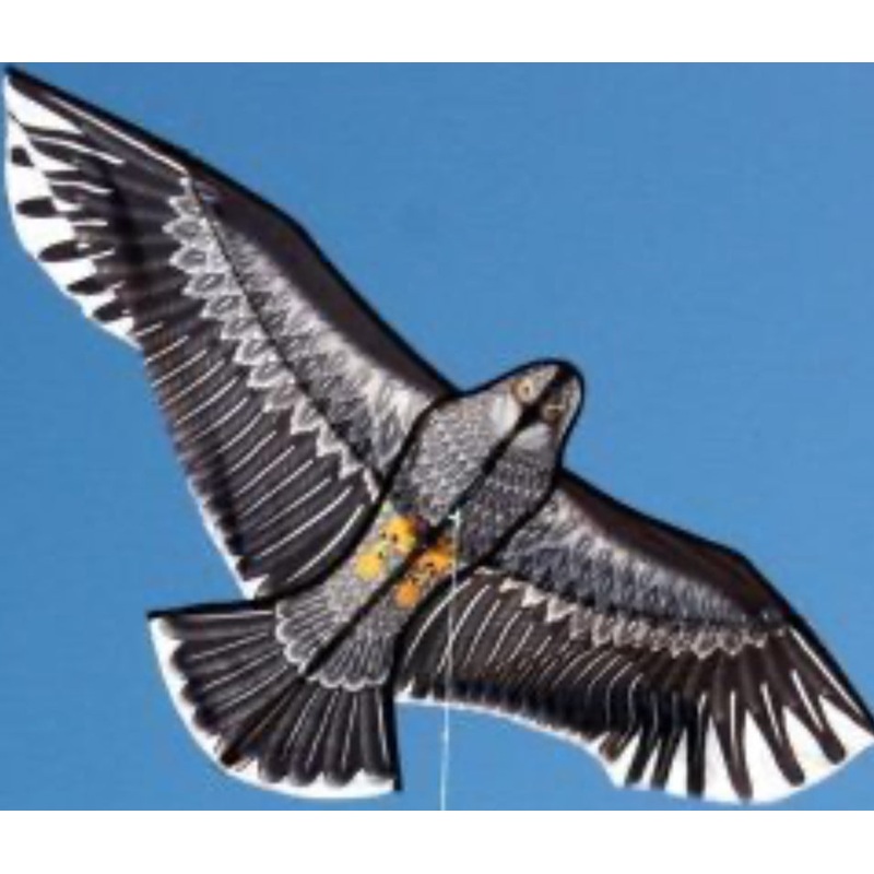 Ocean Breeze Kite Eagle