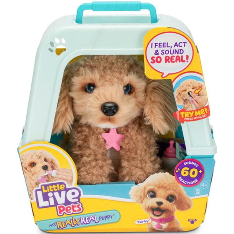 LLP REALLY REAL PUPPY CURLEY