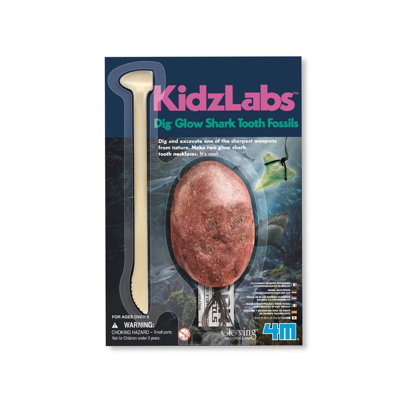 KIDS LABS SHARK TOOTH FOSSIL GID