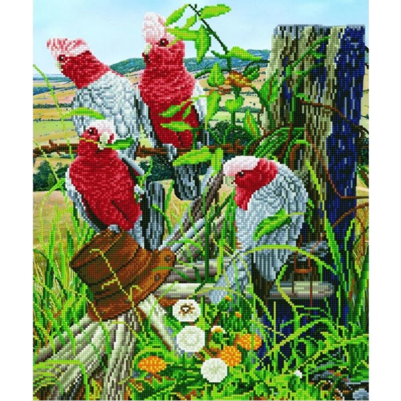 Diamond Dotz Galah Quartet