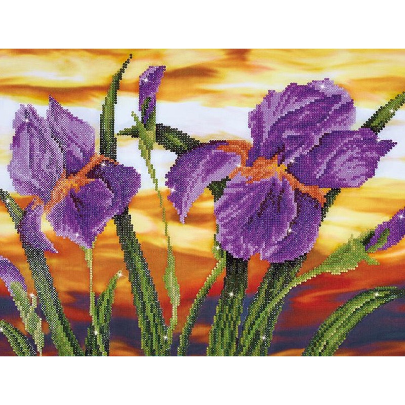 Diamond Dotz Med Iris Sunset