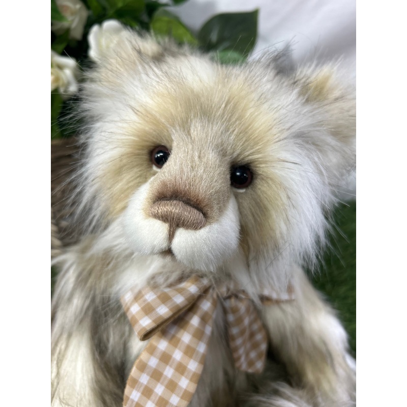 CHARLIE BEAR ASHDOWN