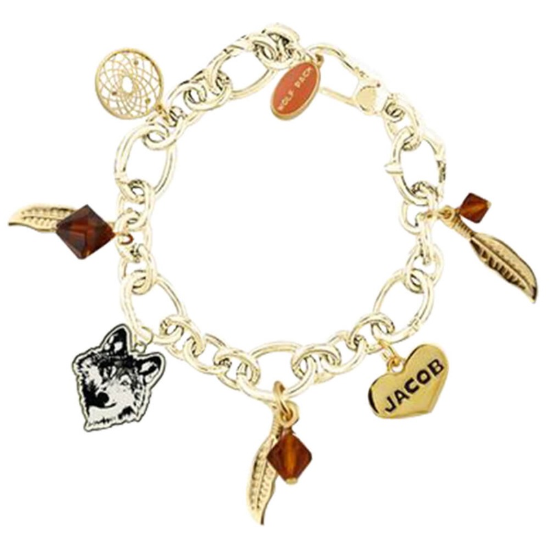 Twilight New Moon Jewelry Charm Bracelet Feather Circle